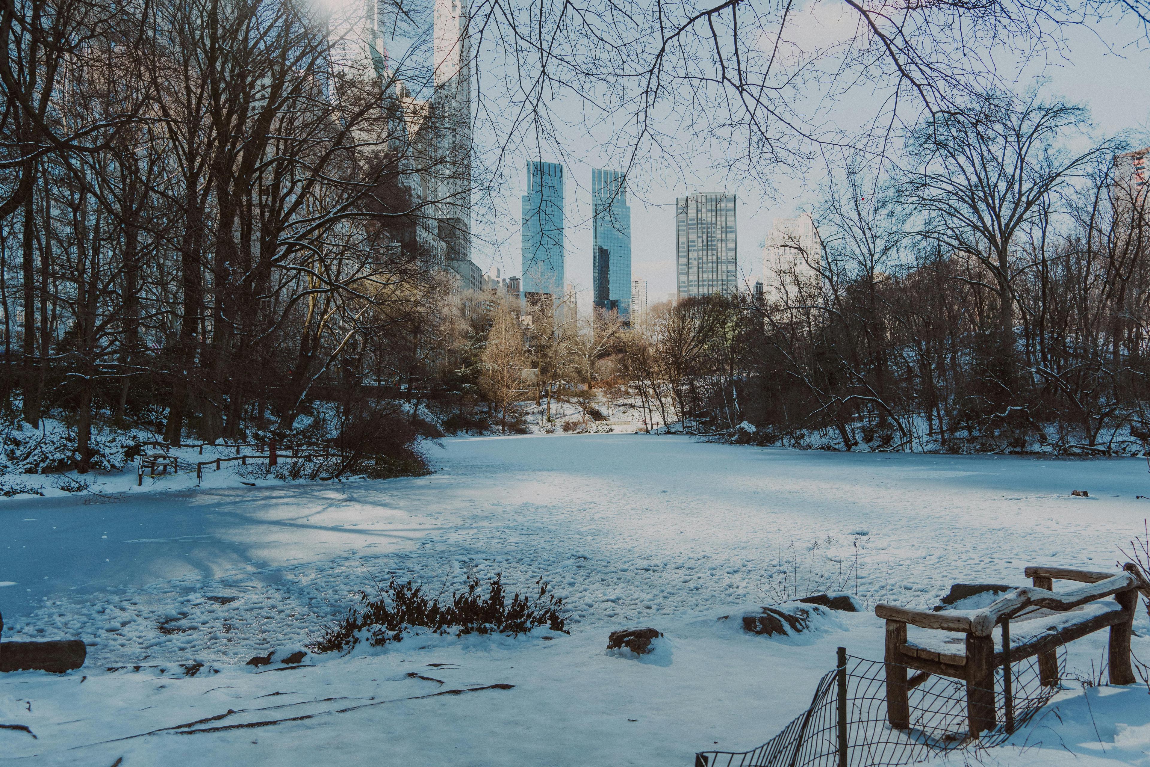 How to Winterize An Outdoor Terrace in NYC